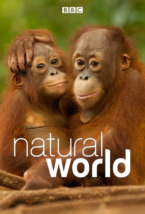 Cover for Natural World