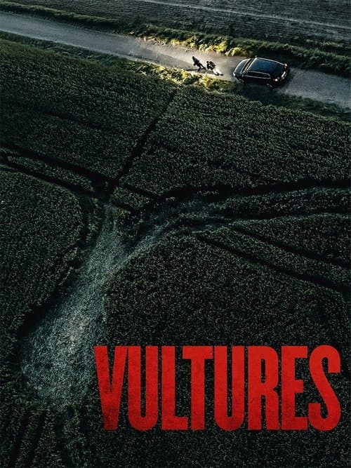 Poster for Vultures