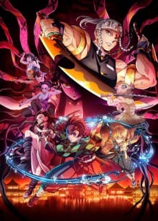 Cover for Demon Slayer: Kimetsu no Yaiba Entertainment District Arc