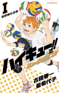 Cover for Haikyuu!! Shousetsu-ban!!